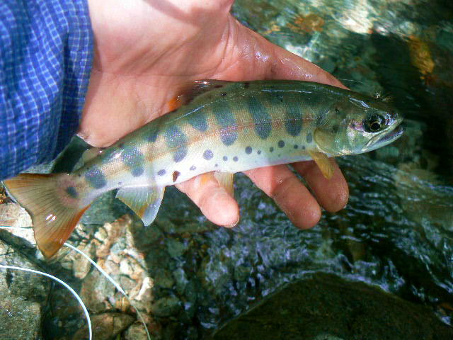 f0164503_2011136.jpg