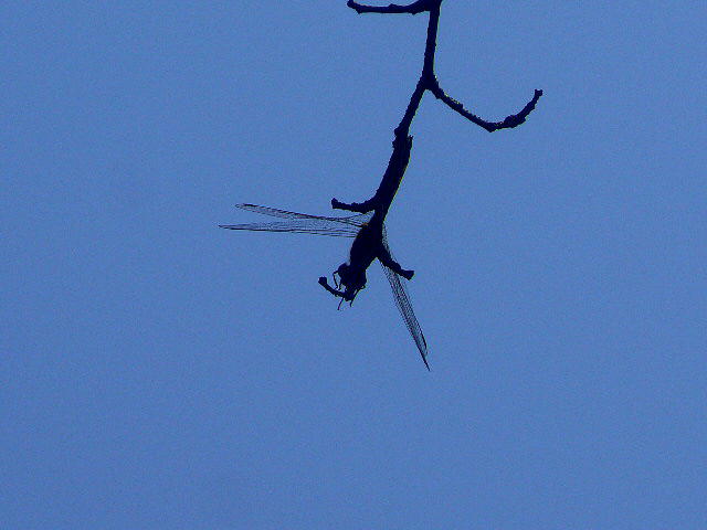 f0164503_2034565.jpg