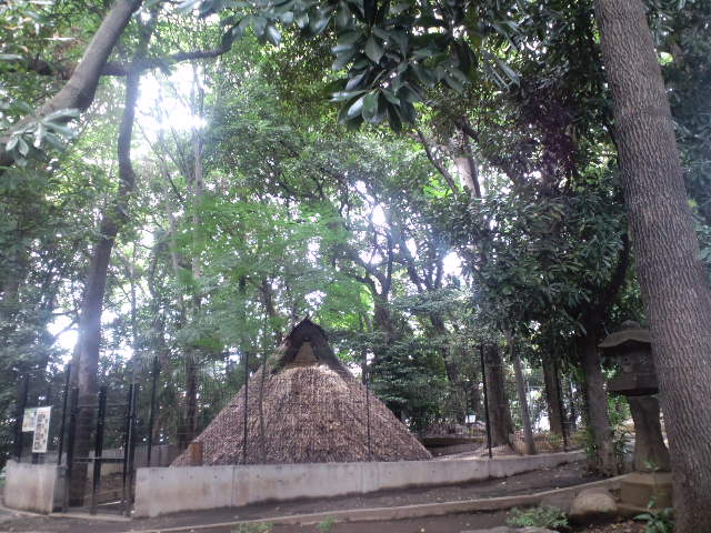 a0088007_20423417.jpg