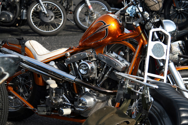 f0020508_1232599.jpg