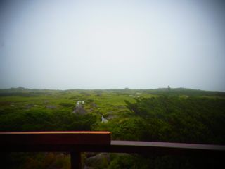 b0183911_1251244.jpg