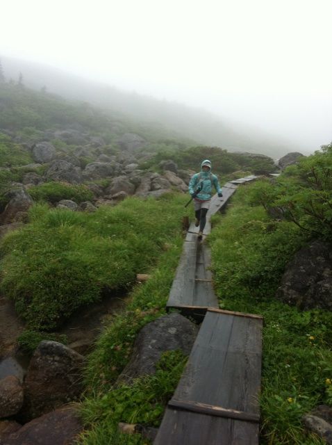 b0183911_1284648.jpg