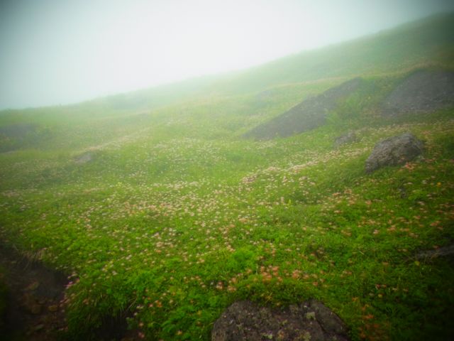 b0183911_1371078.jpg