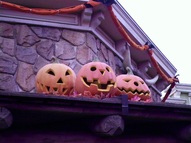 f0208812_1010537.jpg
