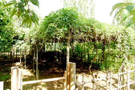 d0113613_13323895.jpg