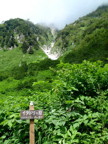 c0177814_16142592.jpg