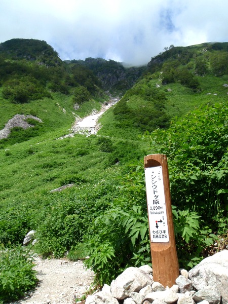 c0177814_16144736.jpg