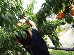 a0157619_073530.jpg