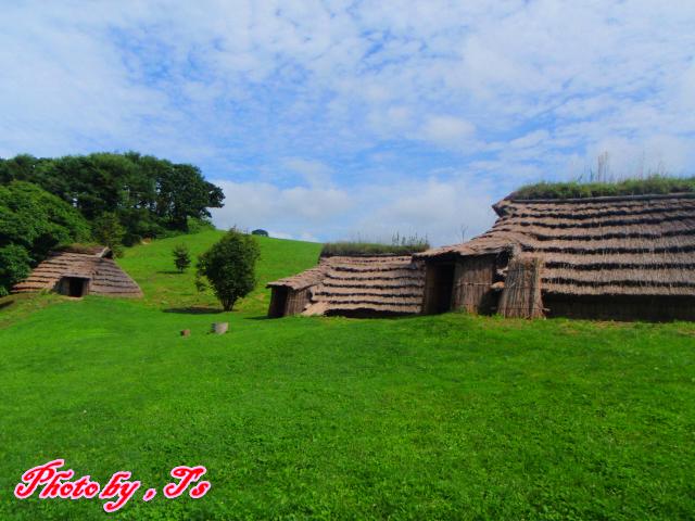 f0147821_15373252.jpg