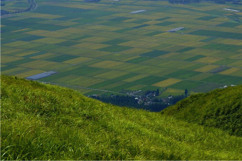 b0211627_20131877.jpg