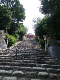 b0102728_13324783.jpg