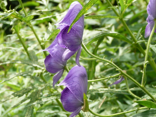 c0009528_22524043.jpg