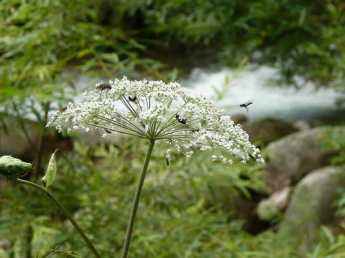 c0009528_2252547.jpg
