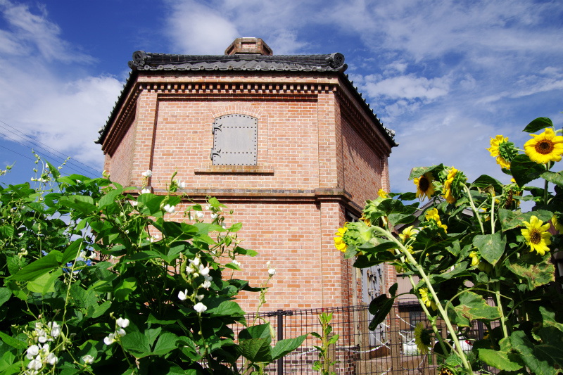 d0250028_850296.jpg