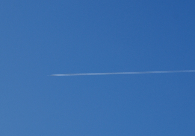 d0046930_18101293.jpg