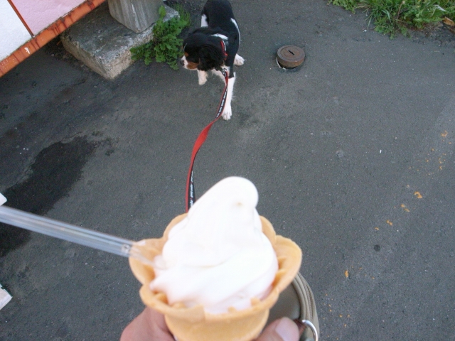 c0051132_20152172.jpg