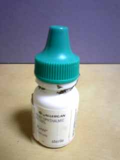 e0215532_20515590.jpg