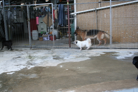 e0018143_2362941.jpg