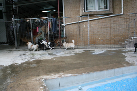e0018143_2382150.jpg