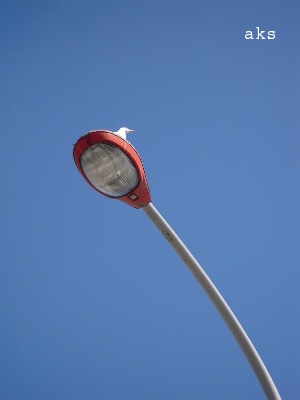 f0150945_9354974.jpg