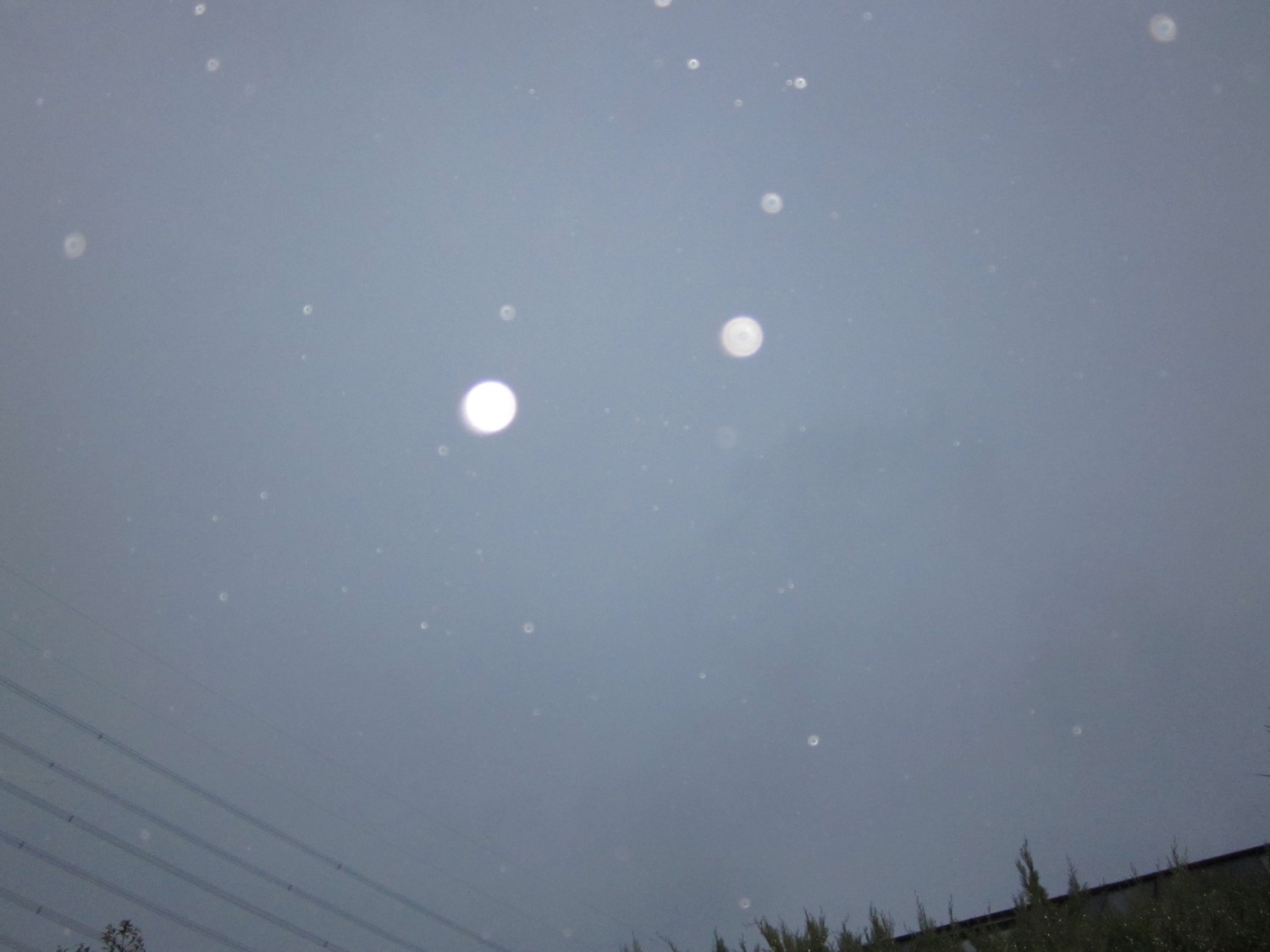 d0075649_1543824.jpg