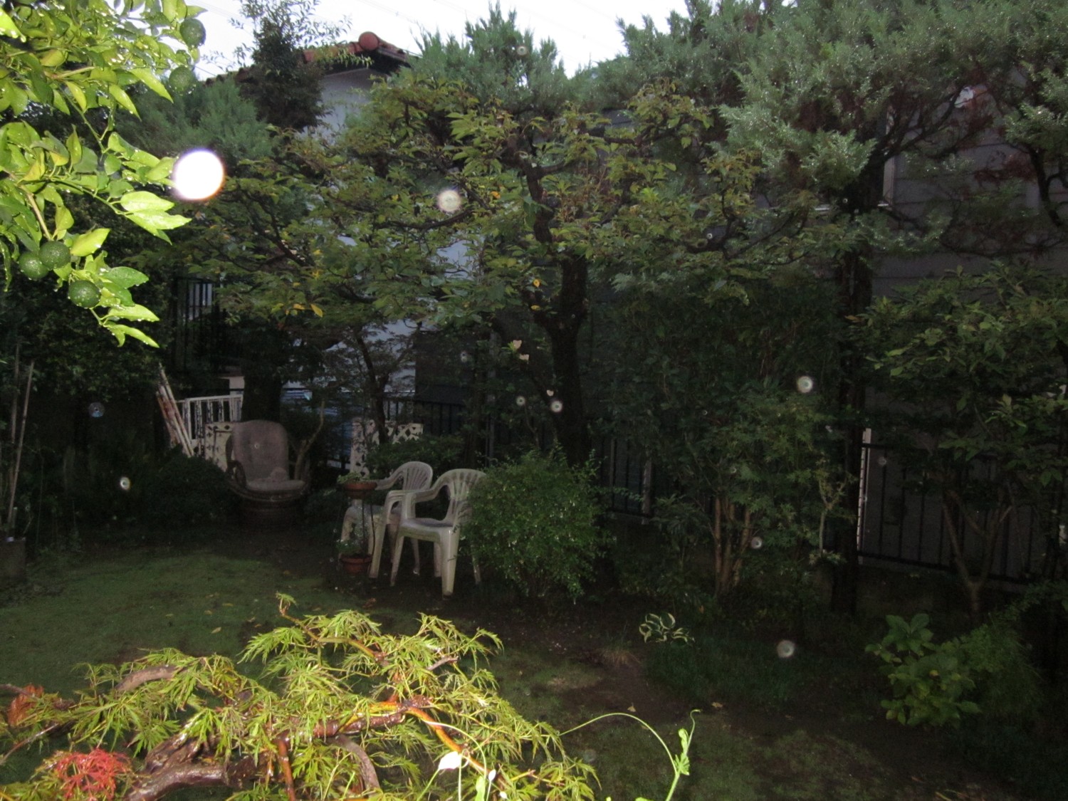 d0075649_1545221.jpg