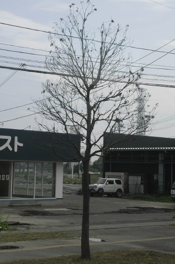 b0119950_20531513.jpg
