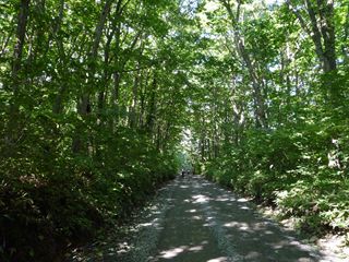 b0220251_12223790.jpg