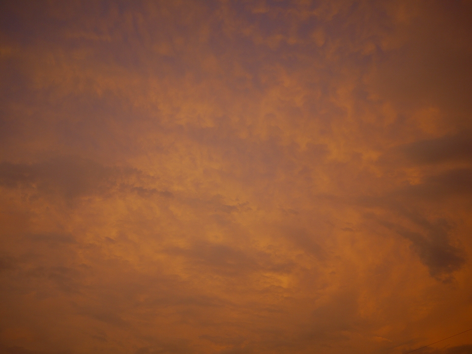 c0164652_2203980.jpg