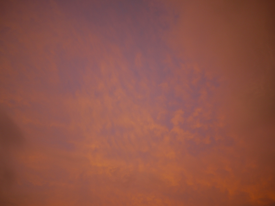 c0164652_220565.jpg
