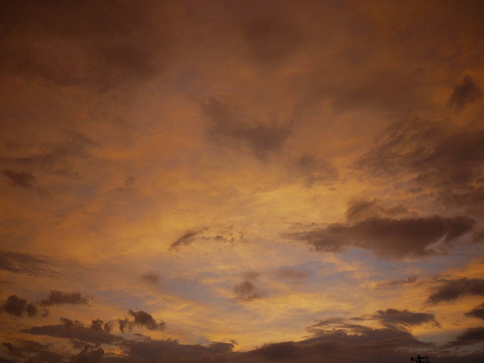 c0164652_2211061.jpg