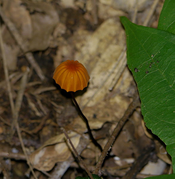 d0091754_1114296.jpg