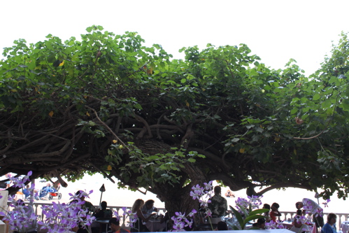 c0153259_15122736.jpg