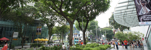 c0062361_18183425.jpg