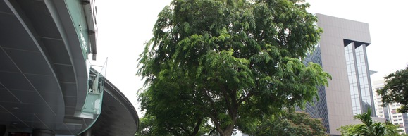 c0062361_20225586.jpg