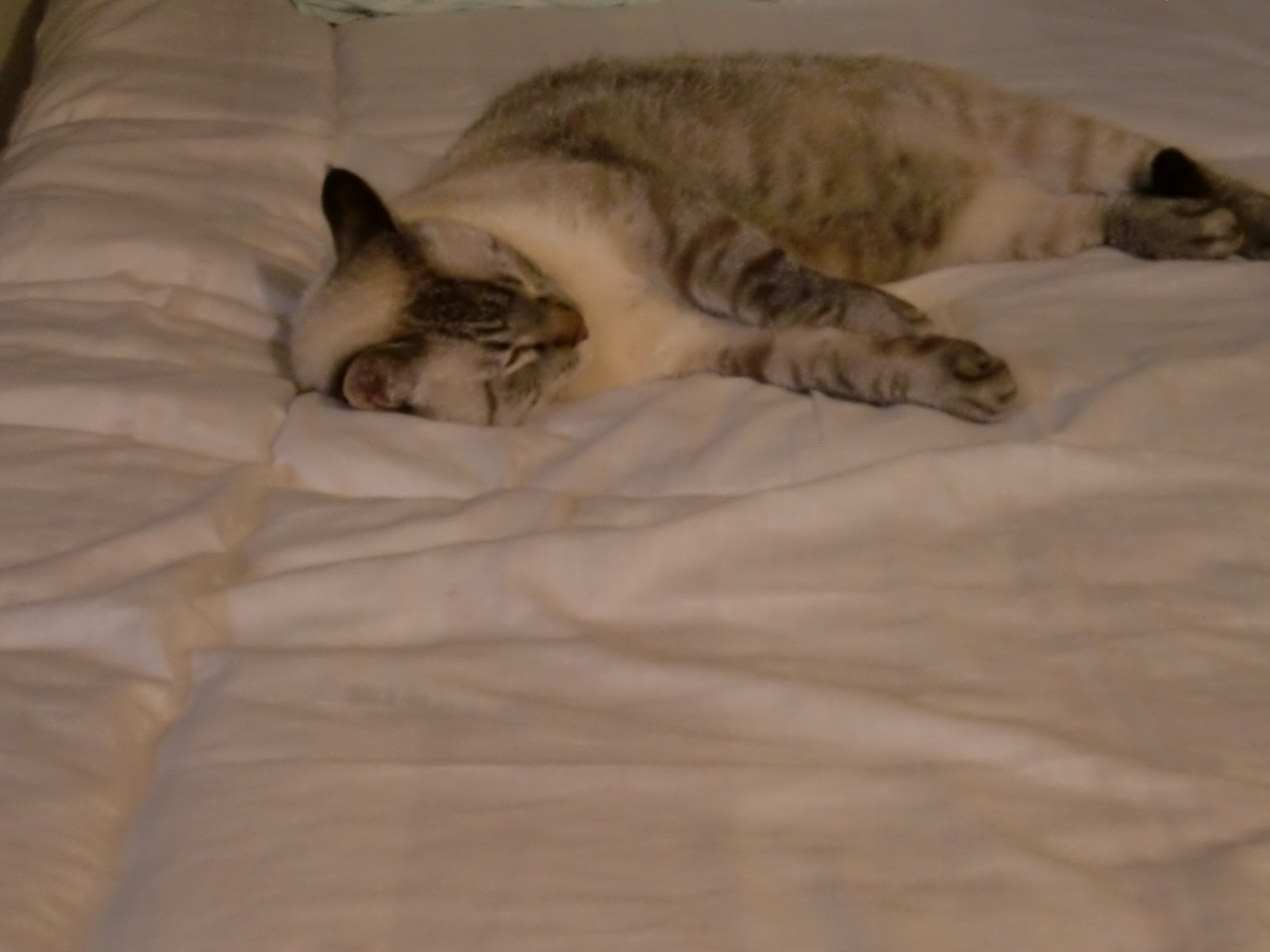c0172261_0124929.jpg