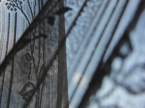 a0140863_1741153.jpg