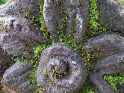 e0225164_845539.jpg