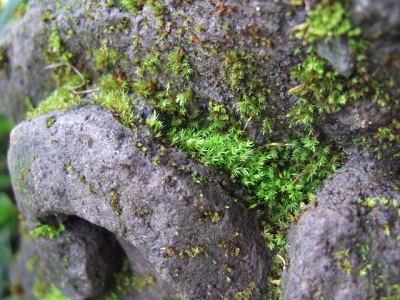 e0225164_853362.jpg