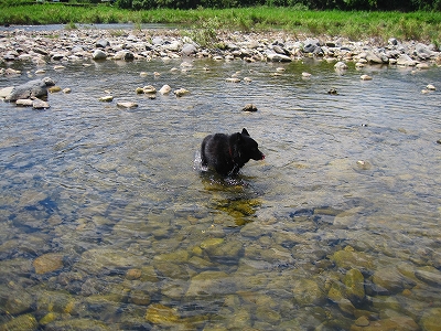 e0002466_12413833.jpg