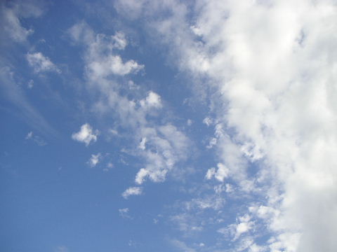 b0175571_17284044.jpg