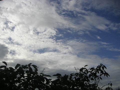 b0175571_17314323.jpg