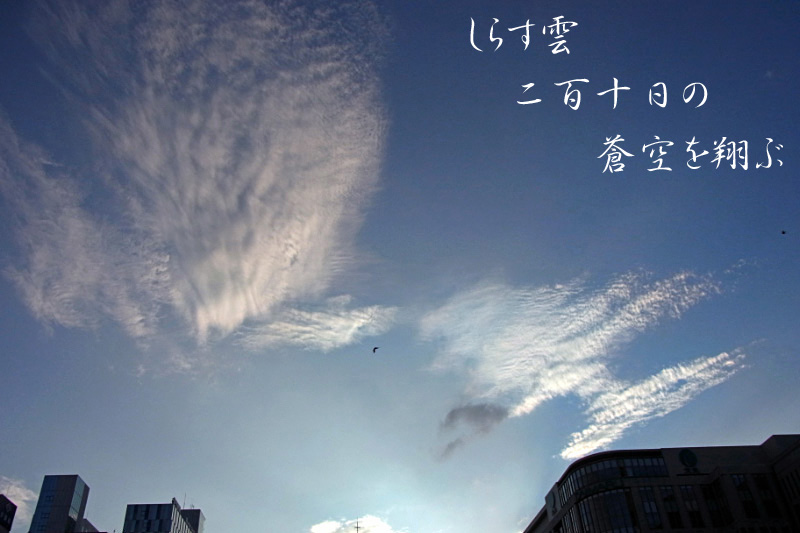 e0100772_2384838.jpg