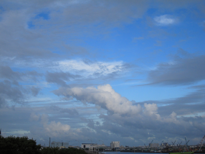 c0008378_21482743.jpg