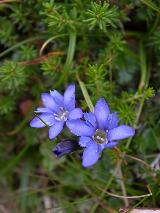 a0094280_18192210.jpg