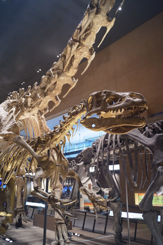 b0042282_962870.jpg