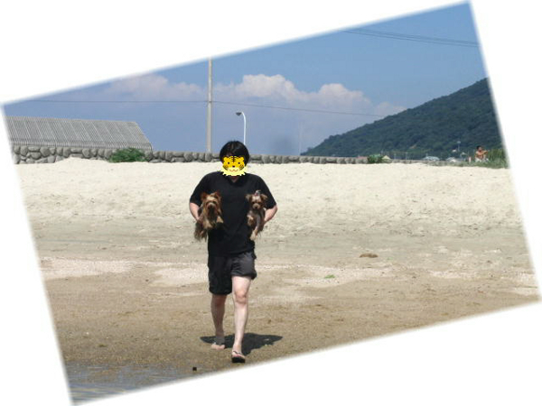 f0018384_2353266.jpg