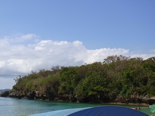 f0100084_17335536.jpg