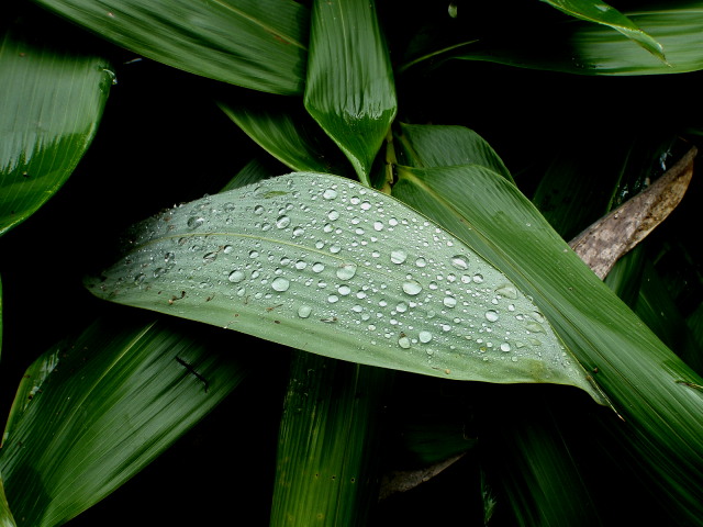 a0007388_1337875.jpg