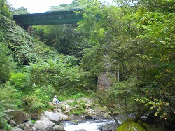 a0109288_1259225.jpg